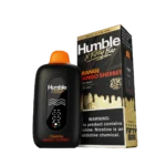 Orange Mango Sherbet